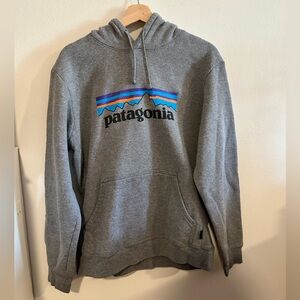 Patagonia Hoodie